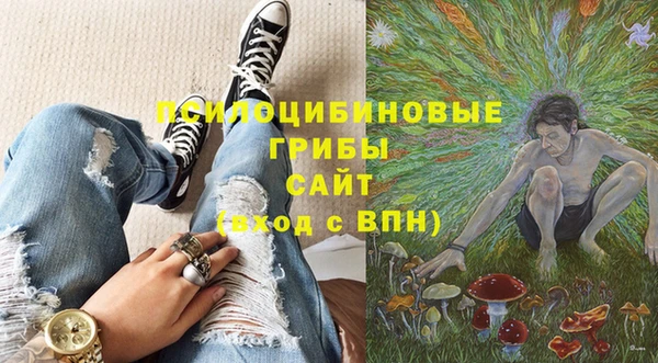 дживик Волоколамск